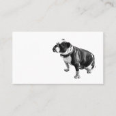 Steady Without Hurry Visitenkarte (Vorderseite)