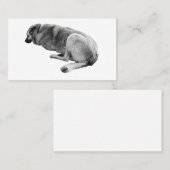 Steady Without Noise Visitenkarte (Vorne/Hinten)