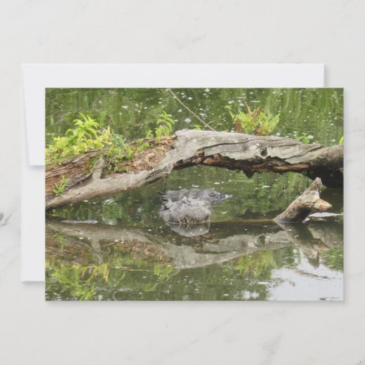 Stealth Alligator-Flachkarte (Vorderseite)