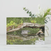 Stealth Alligator-Flachkarte (Stehend Vorderseite)