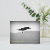 Stealth Crow Postkarte (Stehend Vorderseite)