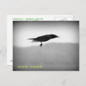 Stealth Crow Postkarte (Vorne/Hinten)