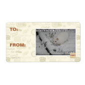 Stealth Kitty 1 (Vorne)