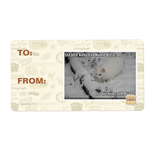 Stealth Kitty 1 (Vorne)
