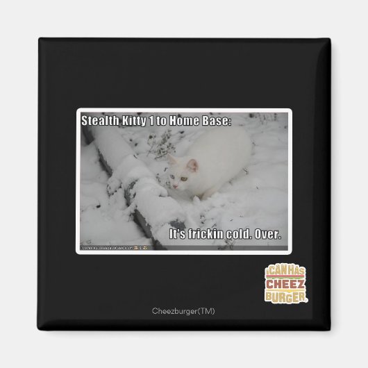 Stealth Kitty 1 Magnet (Vorne)