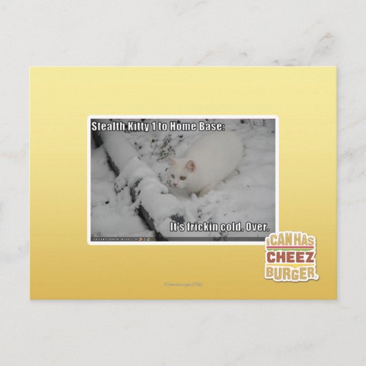 Stealth Kitty 1 Postkarte (Vorderseite)