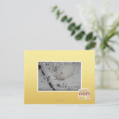 Stealth Kitty 1 Postkarte (Stehend Vorderseite)