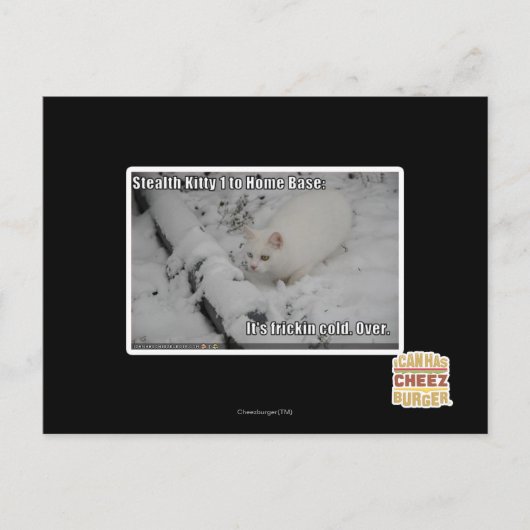 Stealth Kitty 1 Postkarte (Vorderseite)