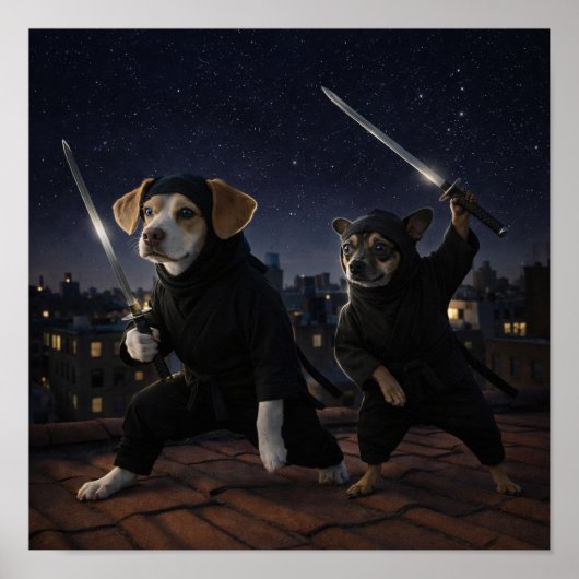 "Stealth Mode" Poster (Vorne)