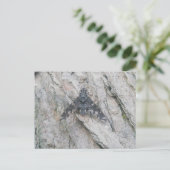 Stealth-Wing Fly-Postkarte Postkarte (Stehend Vorderseite)