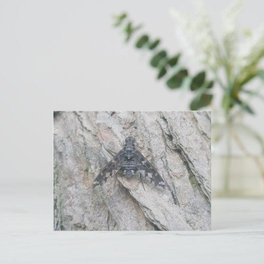 Stealth-Wing Fly-Postkarte Postkarte (Stehend Vorderseite)