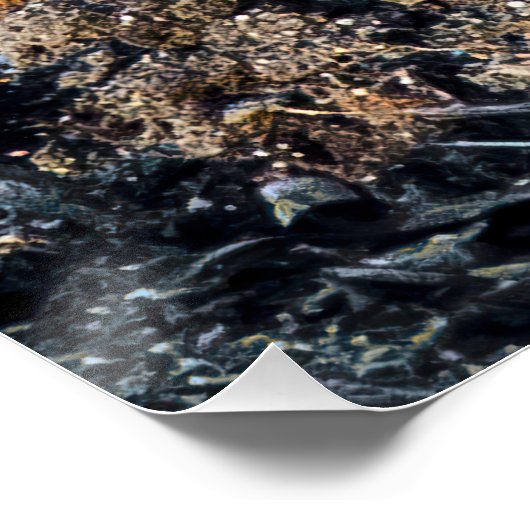 Stealthy Fox Poster (Ecke)