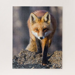 Stealthy Fox Puzzle