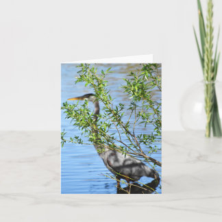 Stealthy (Great Blue Heron #2) - Blank Note Card Karte