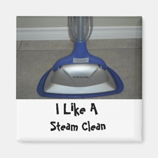 Steam Mop Magnet (Vorne)