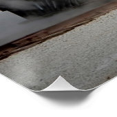 Steam Motor #3 Prairie Dog Central Poster (Ecke)