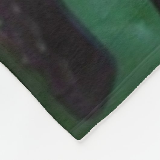 STEAM MOTOR BOILER FLEECEDECKE (Ecke)