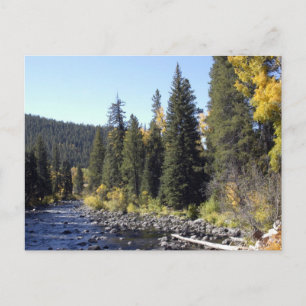 Steamboat Springs, Colorado Postkarte