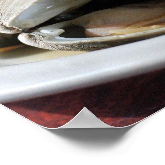Steamed Clams Foto Poster (Ecke)
