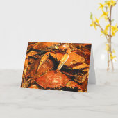 Steamed Maryland Hard Crabs Karte (Gelbe Blume)