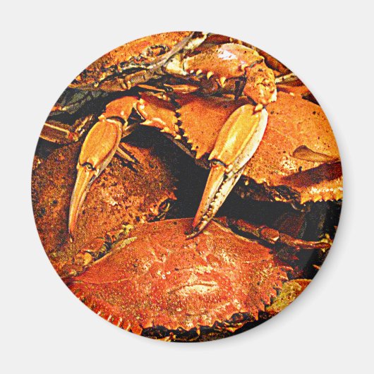 Steamed Maryland Hard Crabs Magnet (Vorne)