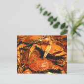 Steamed Maryland Hard Crabs Postkarte (Stehend Vorderseite)