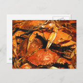 Steamed Maryland Hard Crabs Postkarte (Vorne/Hinten)