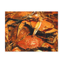 Steamed Maryland Hard Crabs