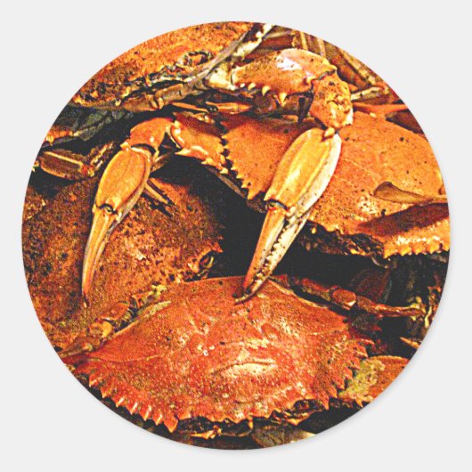 Steamed Maryland Hard Crabs Runder Aufkleber (Vorderseite)