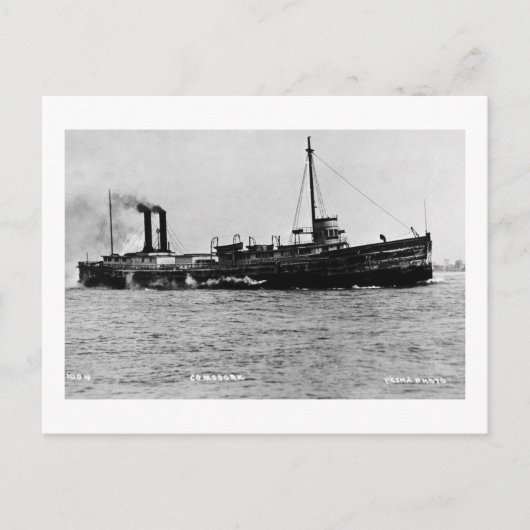 Steamer Comodore - Louis Pesha Foto Postkarte (Vorderseite)