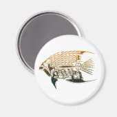 Steamphanmagnete Magnet (Vorderseite/Rückseite)