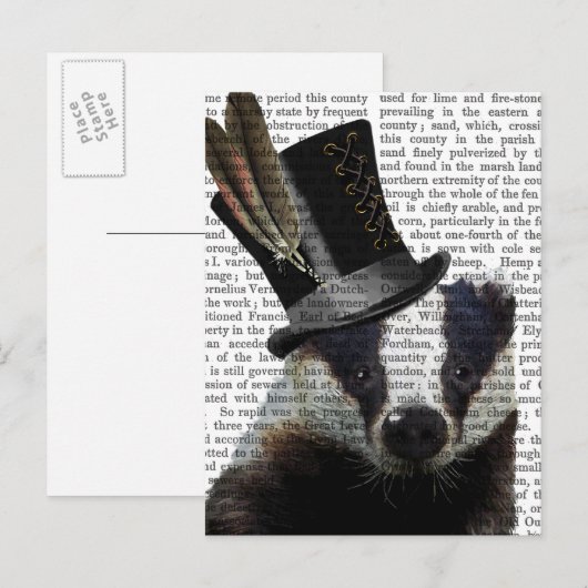 Steampunk Badger in Top Hat Postkarte (Vorne/Hinten)