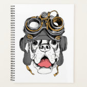 Steampunk Boxer Planer (Vorderseite)