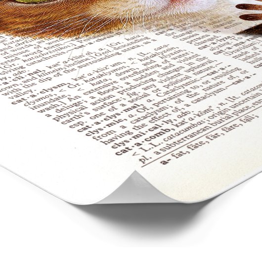 Steampunk Cat auf Wörterbuchseite Poster (Ecke)