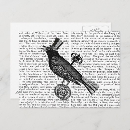 Steampunk Crow 2 Postkarte (Vorne/Hinten)