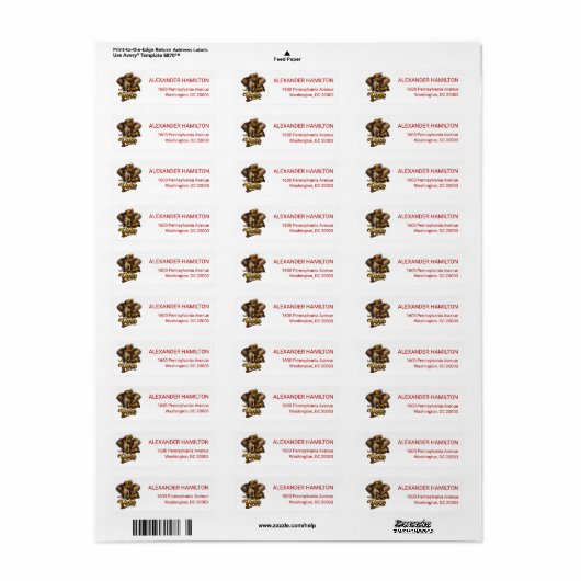  Steampunk Elephant Vote Return Address (Vorne)