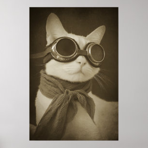 Steampunk-Fliegerkatze im Sepia-Porträt Poster