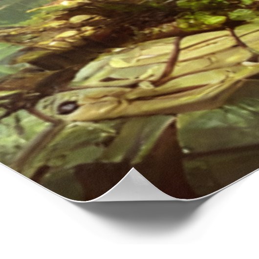 Steampunk Greenhouse im Dschungel Poster (Ecke)