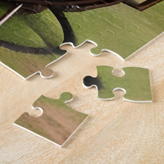 Steampunk House & Alien Puzzle (Seite)