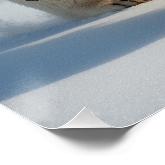 Steampunk Polar Bear Warrior Poster (Ecke)