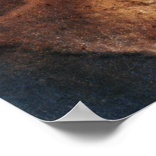 Steampunk-Rose Poster (Ecke)