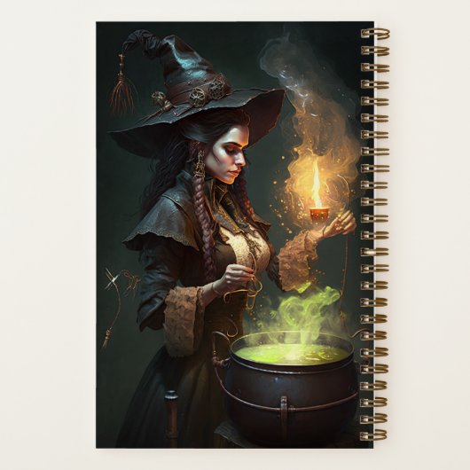 Steampunk Sorceress Cutomisable Rezept Notebook Notizblock (Rückseite)
