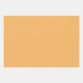 Steampunk Tiger Metallic Wheels Decoupage R 136 Geschenkpapier Set (Vorderseite 2)