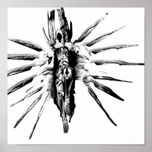 Steampunk Valkyrie Poster (Vorne)