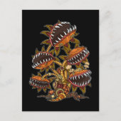 Steampunk Viktorianisch Carnivorys Pflanze Venus F Postkarte (Vorderseite)