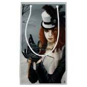 Steampunk Viktorianisch Dragonfly Kleine Geschenktüte (Vorderseite)