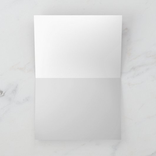 STEAMPUNK ZEPPELIN BLIMP BLANK CARDS KARTE (Innenseite)