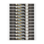 Steampunkdrachenfliegen auf braunem, gestreiften H (Bogen)