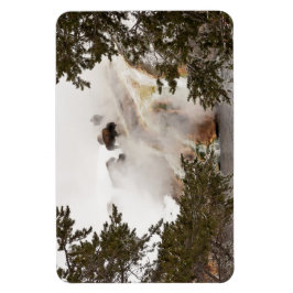 Steamy Bison im Yellowstone Nationalpark Magnet