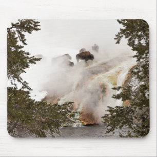 Steamy Bison Mousepad